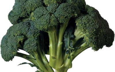 9 Reasons Why Do Bodybuilders Eat Broccoli