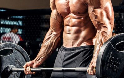 Bodybuilding Workouts for Size & Strength: A Quick Guide