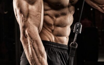 7 Best Long Head Tricep Exercises