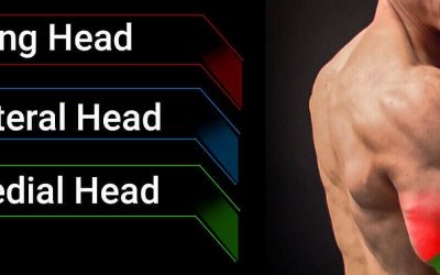 7 Exercise for Triceps Long Head – Build Bigger & More Defined Arms